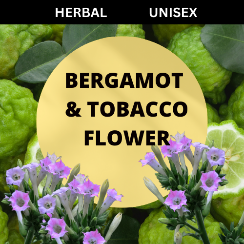 SCENT: Bergamot & Tobacco Flower