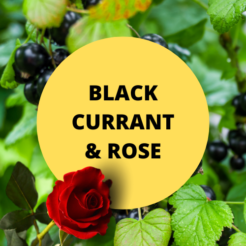 SCENT: Black Currant & Rose