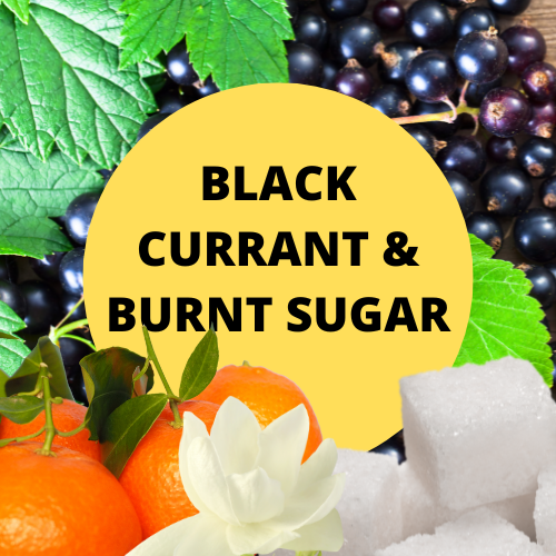 SCENT: Black Currant & Burnt Sugar