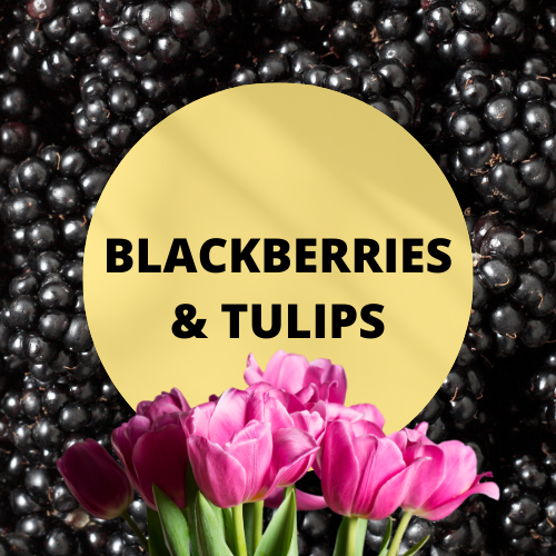 SCENT: Blackberries & Tulips