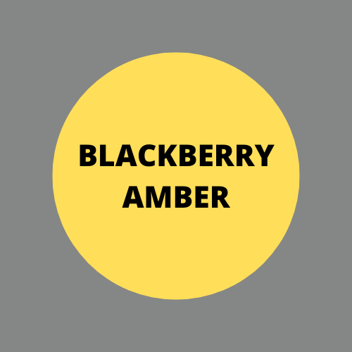 SCENT: Blackberry Amber