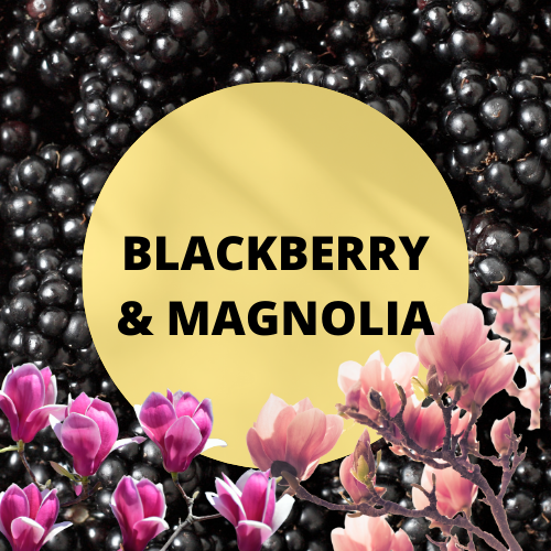 SCENT: Blackberry & Magnolia