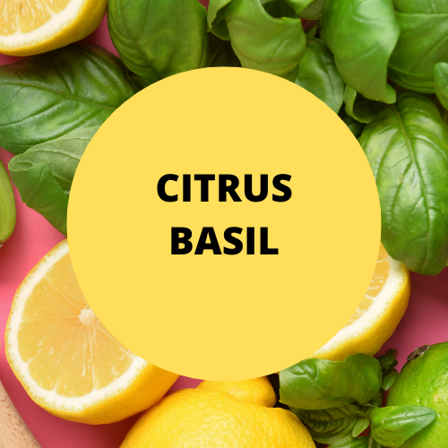 SCENT: Citrus Basil