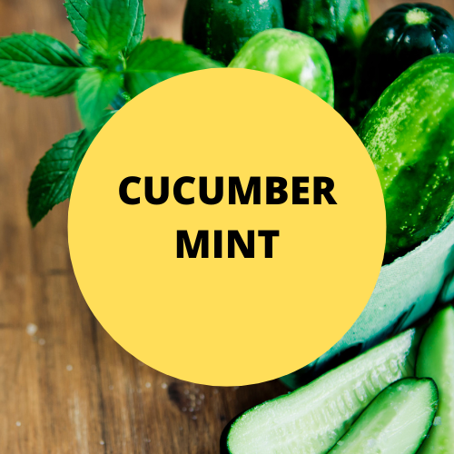 SCENT: Cucumber Mint