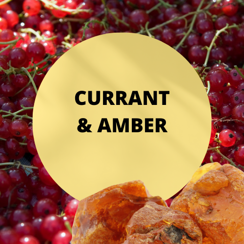 SCENT: Currant & Amber