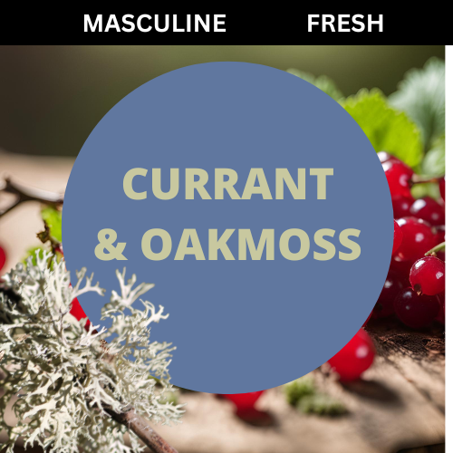 SCENT: Currant & Oakmoss