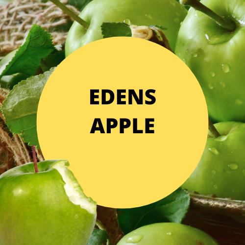 SCENT: Eden's Apple