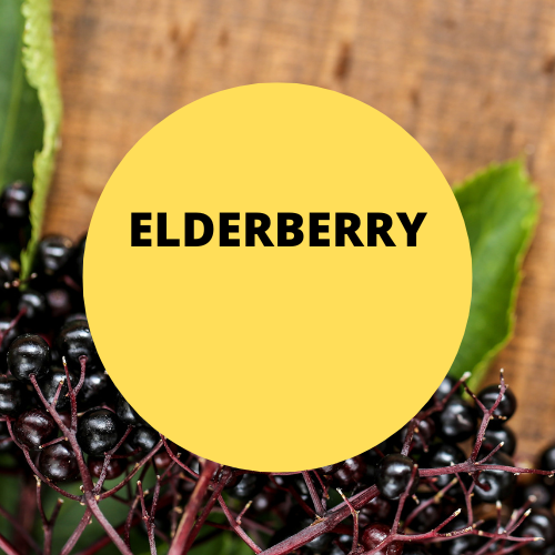 SCENT: Elderberry