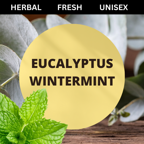 SCENT: Eucalyptus Wintermint