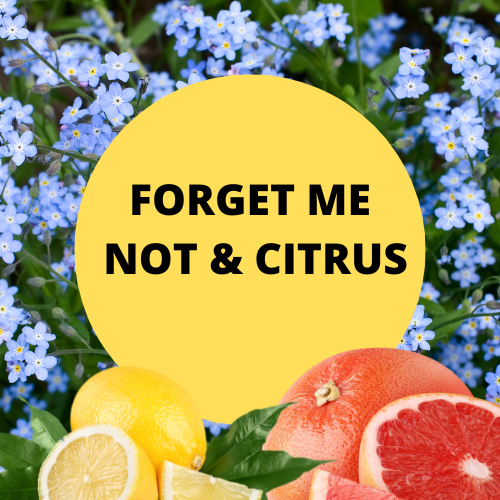 SCENT: Forget Me Not & Citrus