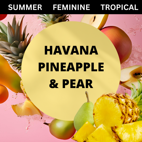 SCENT: Havana Pineapple & Pear