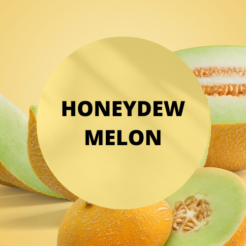 SCENT: Honeydew Melon