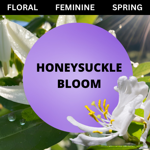 SCENT: Honeysuckle Bloom