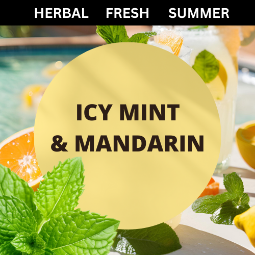 SCENT: Icy Mint & Mandarin