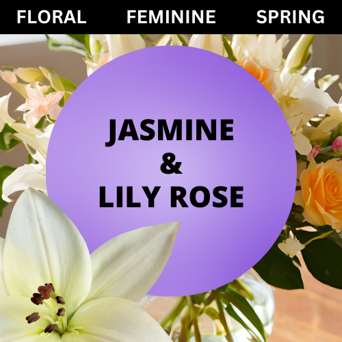 SCENT: Jasmine & Lily Rose