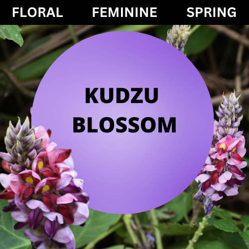 SCENT: Kudzu Blossom