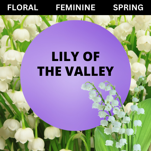 SCENT: Lily Of The Valley