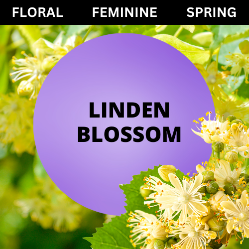 SCENT: Linden Blossom