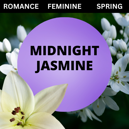 SCENT: Midnight Jasmine