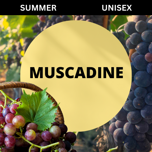 SCENT: Muscadine