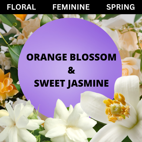 SCENT: Orange Blossom & Sweet Jasmine