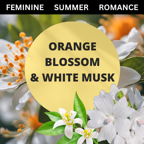 SCENT: Orange Blossom & White Musk