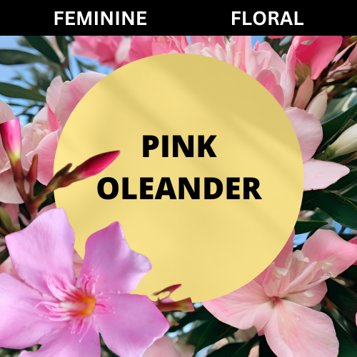 SCENT: Pink Oleander