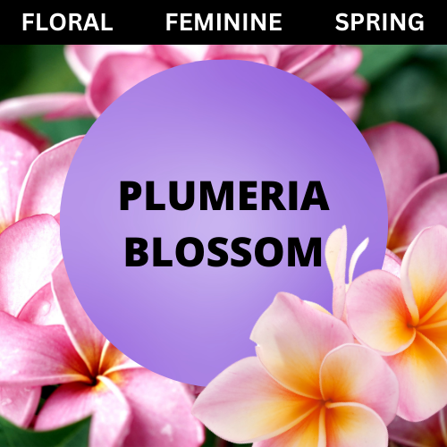 SCENT: Plumeria Blossom