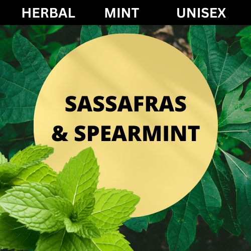 SCENT: Sassafras & Spearmint