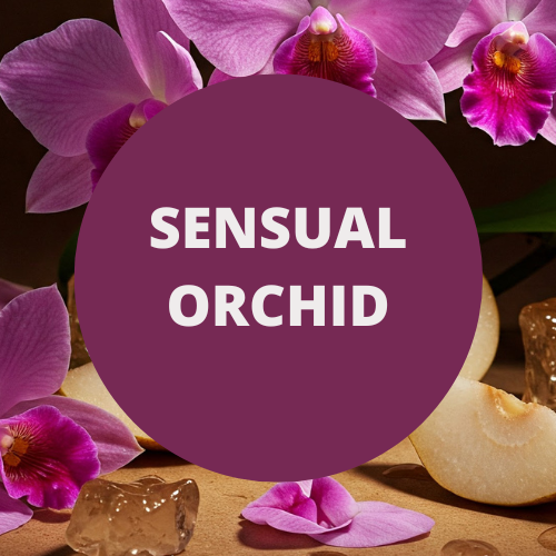 SCENT: Sensual Orchid
