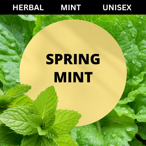 SCENT: Spring Mint