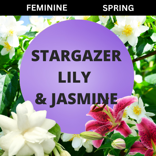 SCENT: Stargazer Lily & Jasmine