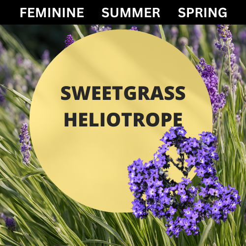 SCENT: Sweetgrass Heliotrope