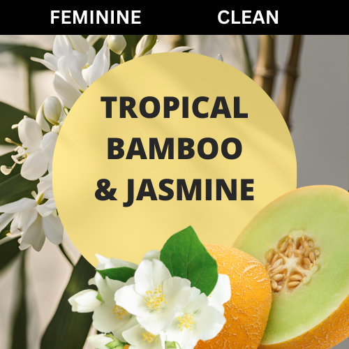 SCENT: Tropical Bamboo & Jasmine