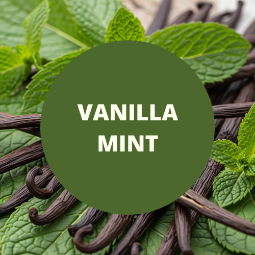 SCENT: Vanilla Mint