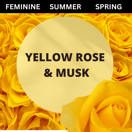 SCENT: Yellow Rose & Musk