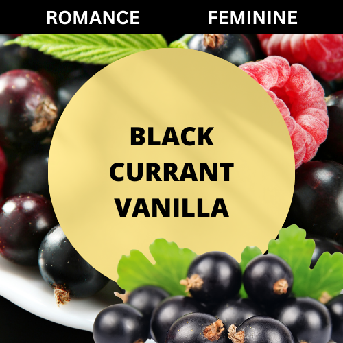 SCENT: Black Currant Vanilla