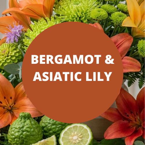 SCENT: Bergamot & Asiatic Lily