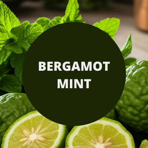 SCENT: Bergamot Mint