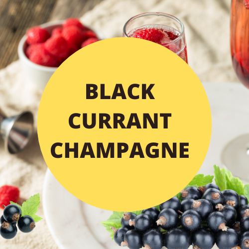 SCENT: Black Currant Champagne