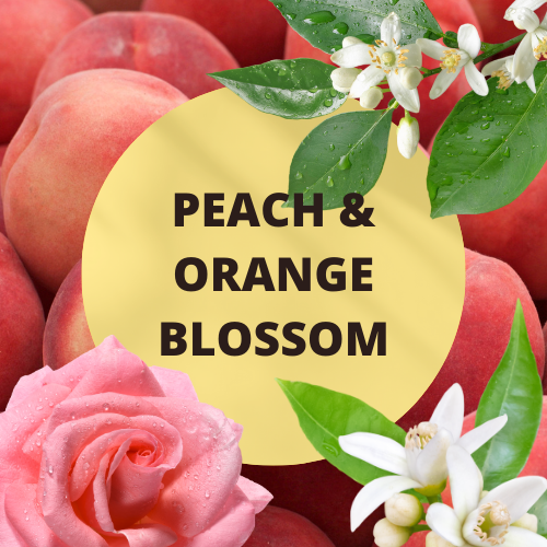 SCENT: Peach & Orange Blossom