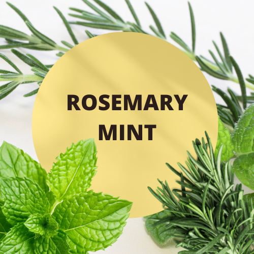 SCENT: Rosemary Mint