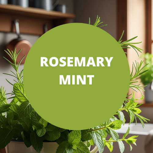 SCENT: Rosemary Mint