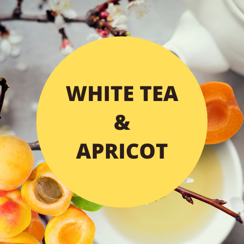 SCENT: White Tea & Apricot