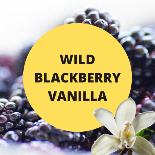 SCENT: Wild Blackberry Vanilla