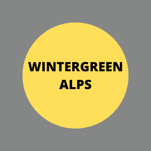 SCENT: Wintergreen Alps