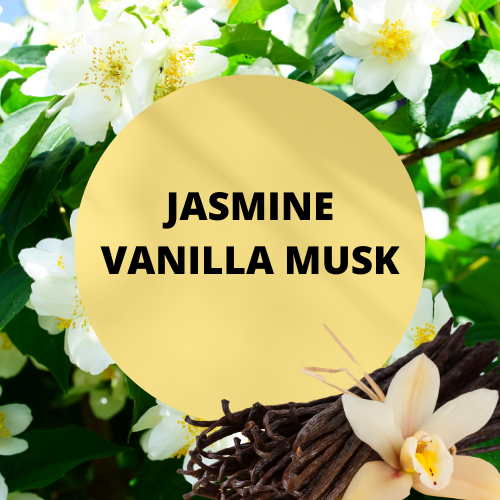 Black Canyon Jasmine Vanilla Musk Scented Massage Oil