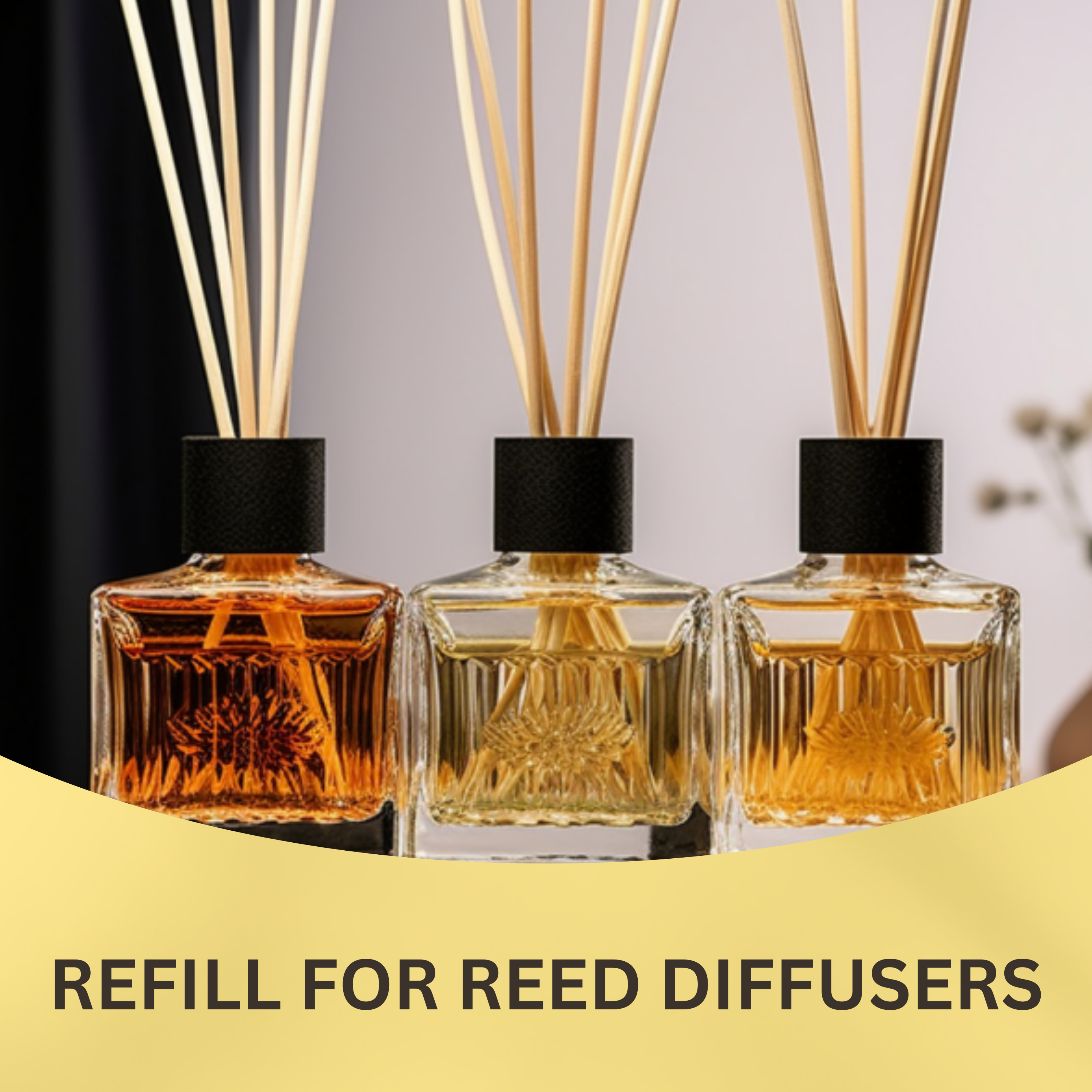 Black Canyon Coconut Ginger Scented Reed Diffuser Oil Refill
