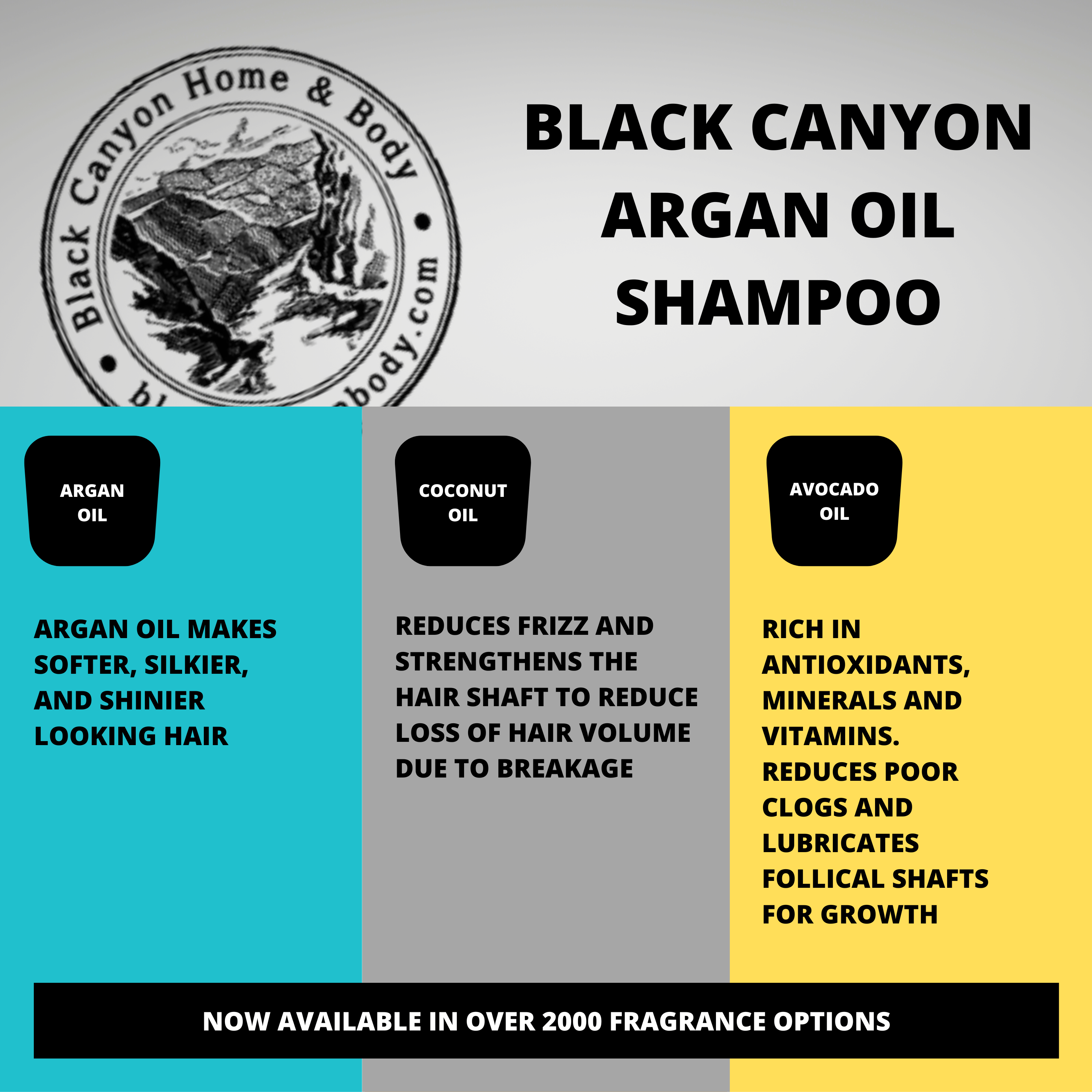 Black Canyon Wild Blueberry Vanilla Scented Shampoo with Argan Oil