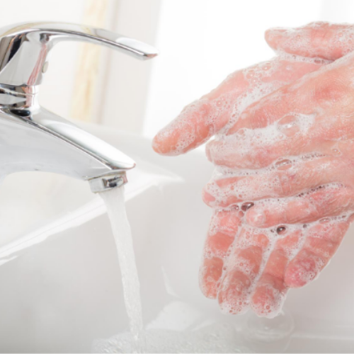 Paydens Cobalt Mahogany-Rockrose Scented Liquid Hand Soap For Men